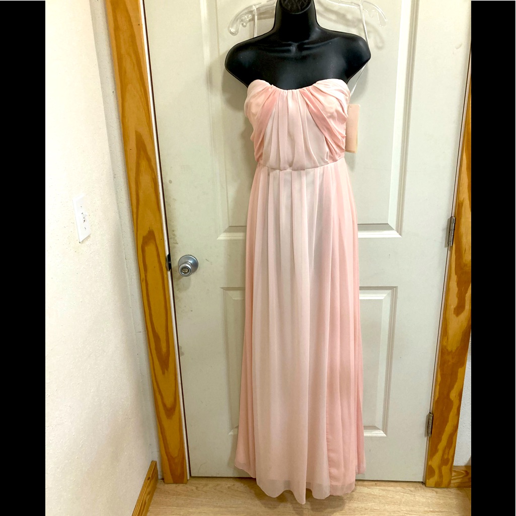BiColored Blush Chiffon Gown